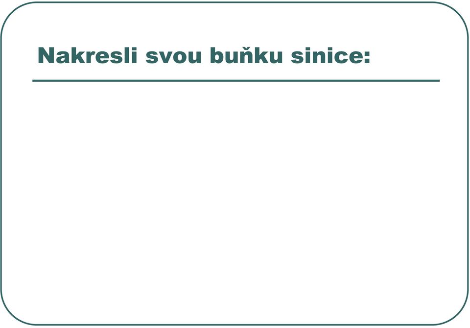 buňku