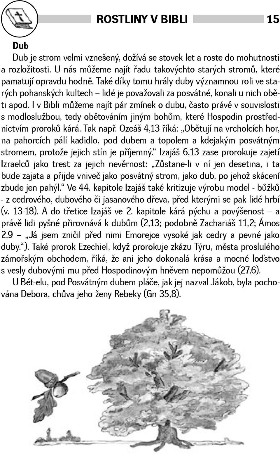 I v Bibli mùeme najít pár zmínek o dubu, často právì v souvislosti s modloslubou, tedy obìtováním jiným bohùm, které Hospodin prostøednictvím prorokù kárá. Tak napø.