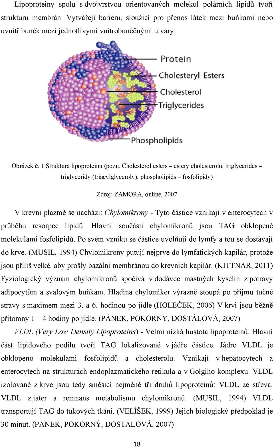 Cholesterol esters estery cholesterolu, triglycerides triglyceridy (triacylglyceroly), phospholipids fosfolipidy) Zdroj: ZAMORA, online, 2007 V krevní plazmě se nachází: Chylomikrony - Tyto částice