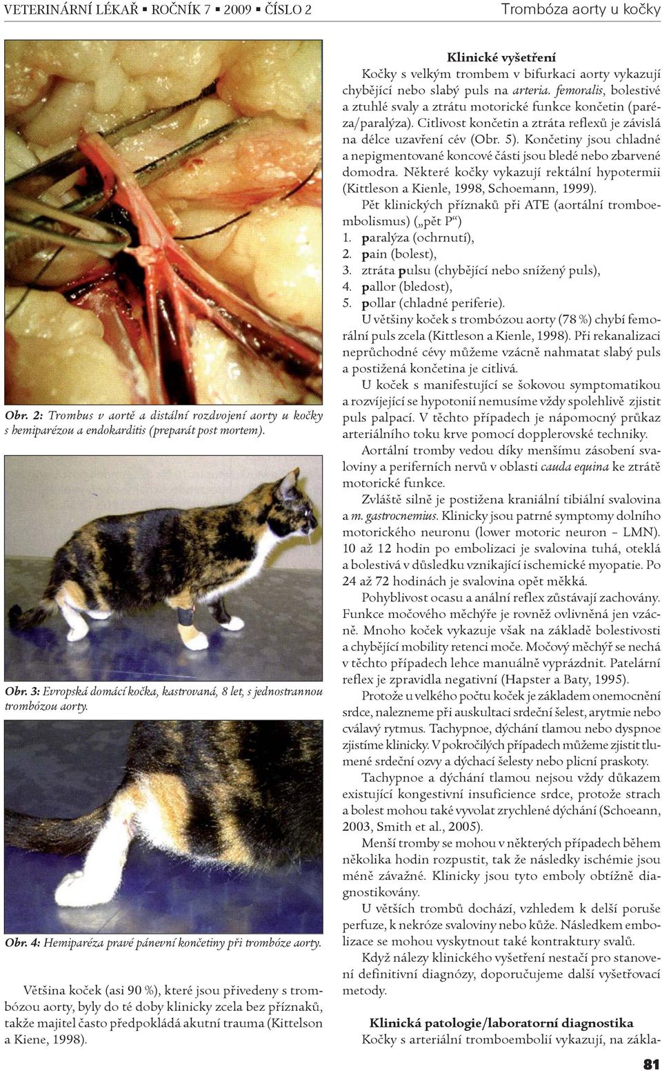 Vìtšina koèek (asi 90 %), které jsou pøivedeny s trombózou aorty, byly do té doby klinicky zcela bez pøíznakù, takže majitel èasto pøedpokládá akutní trauma (Kittelson a Kiene, 1998).