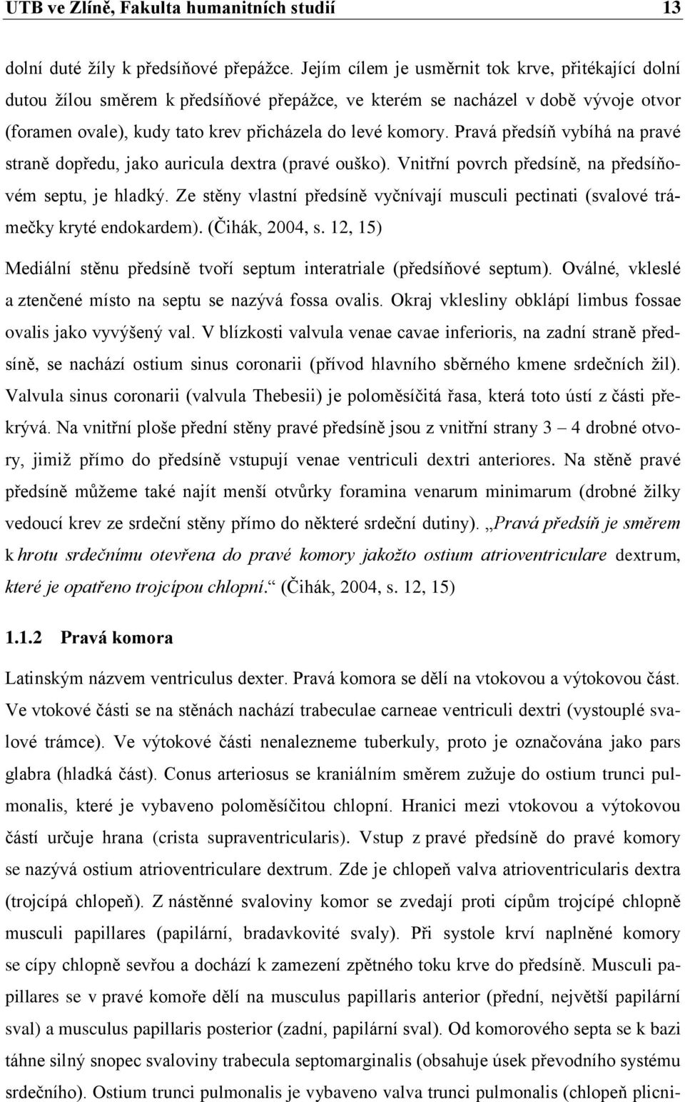 Pravá předsíň vybíhá na pravé straně dopředu, jako auricula dextra (pravé ouško). Vnitřní povrch předsíně, na předsíňovém septu, je hladký.