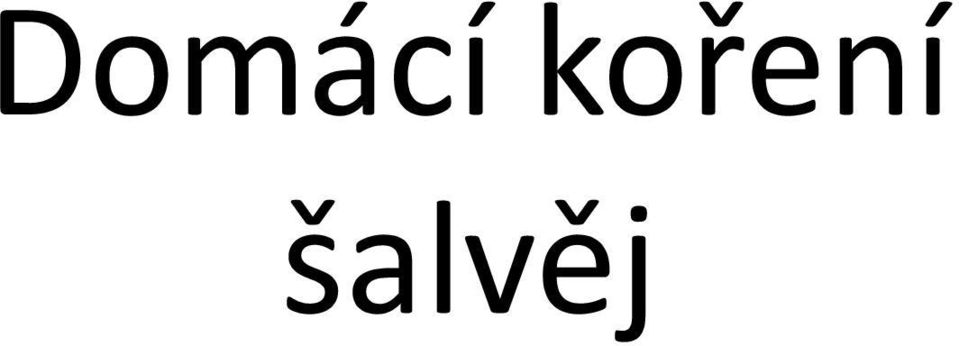 šalvěj