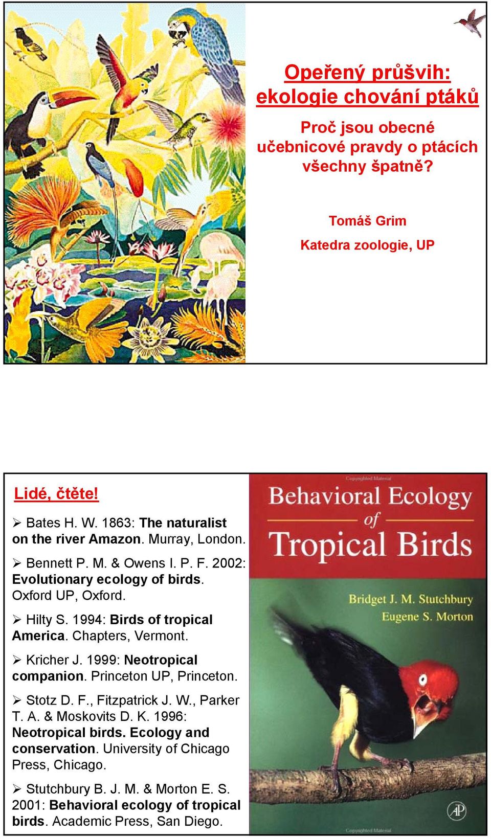 1994: Birds of tropical America. Chapters, Vermont. Kricher J. 1999: Neotropical companion. Princeton UP, Princeton. Stotz D. F., Fitzpatrick J. W., Parker T. A. & Moskovits D.