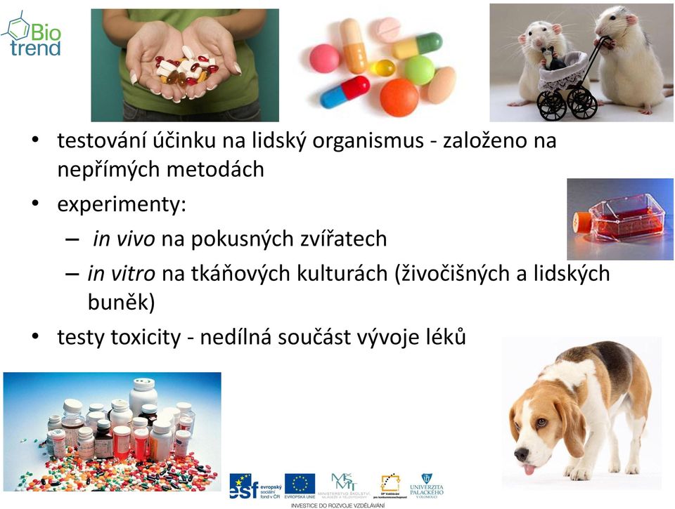 zvířatech in vitro na tkáňových kulturách (živočišných