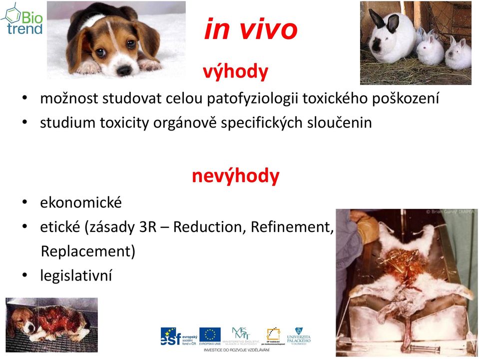 orgánově specifických sloučenin nevýhody ekonomické