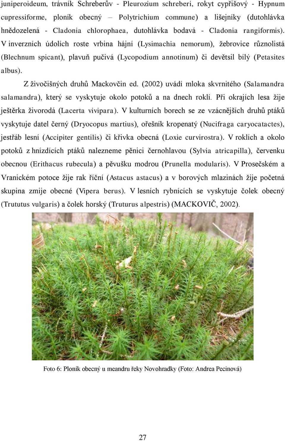 V inverzních údolích roste vrbina hájní (Lysimachia nemorum), ţebrovice různolistá (Blechnum spicant), plavuň pučivá (Lycopodium annotinum) či devětsil bílý (Petasites albus).