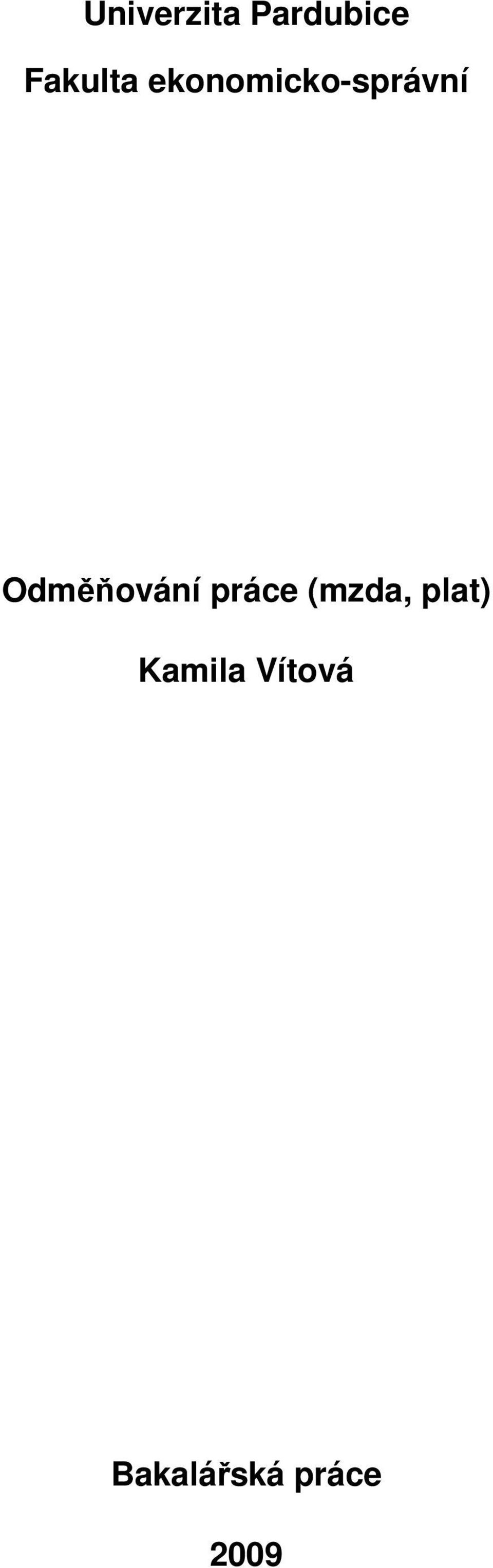 Odměňování práce (mzda,