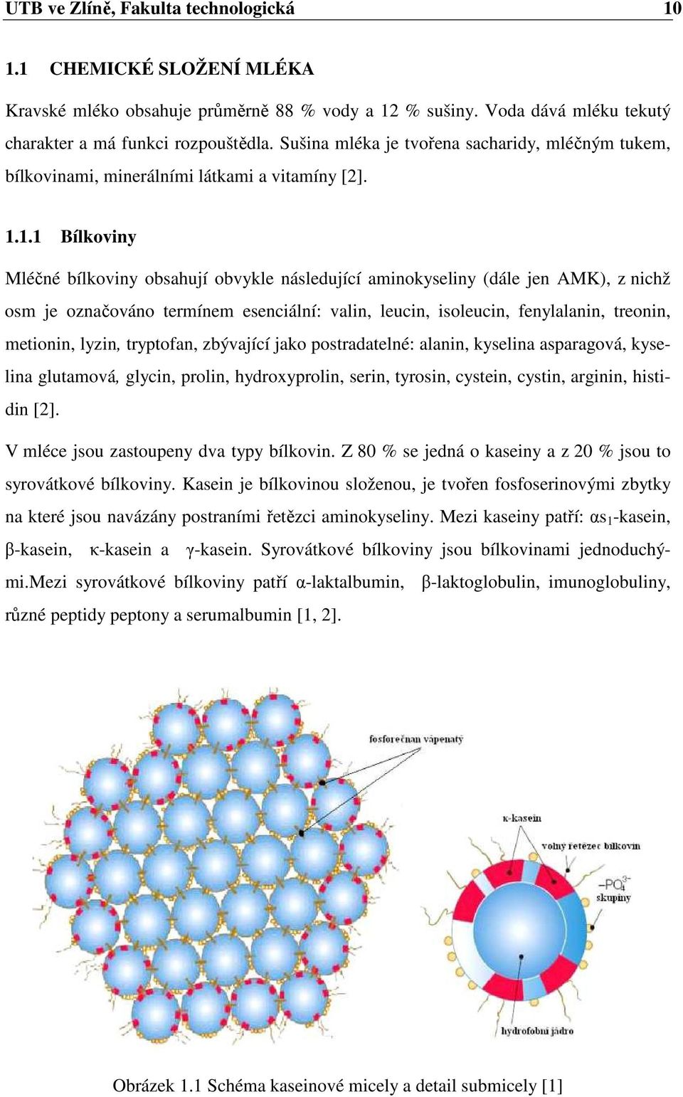 1.1 Bílkoviny Mléčné bílkoviny obsahují obvykle následující aminokyseliny (dále jen AMK), z nichž osm je označováno termínem esenciální: valin, leucin, isoleucin, fenylalanin, treonin, metionin,