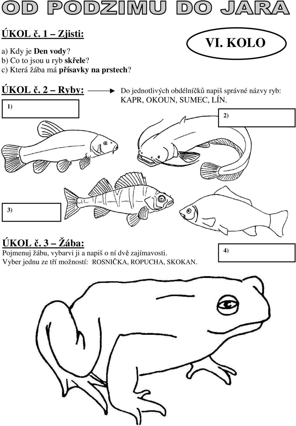 2 Ryby: 1) Do jednotlivých obdélníčků napiš správné názvy ryb: KAPR, OKOUN, SUMEC, LÍN.