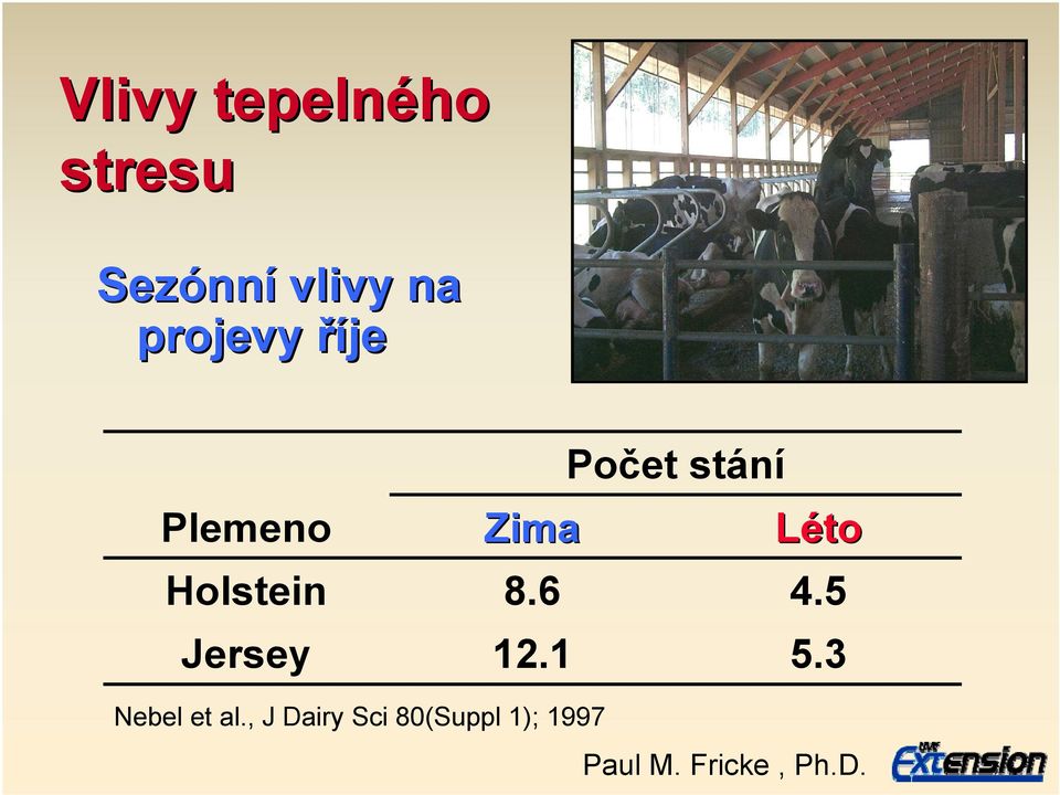 Léto Holstein 8.6 4.5 Jersey 12.1 5.