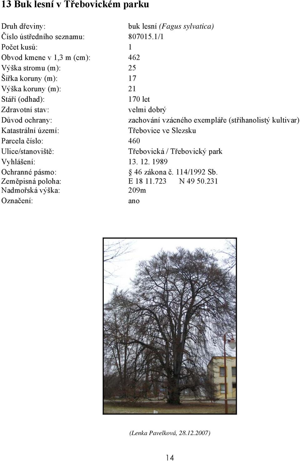 zachování vzácného exempláře (stříhlistý kultivar) Třebovice ve Slezsku Parcela číslo: 460 Třebovická /