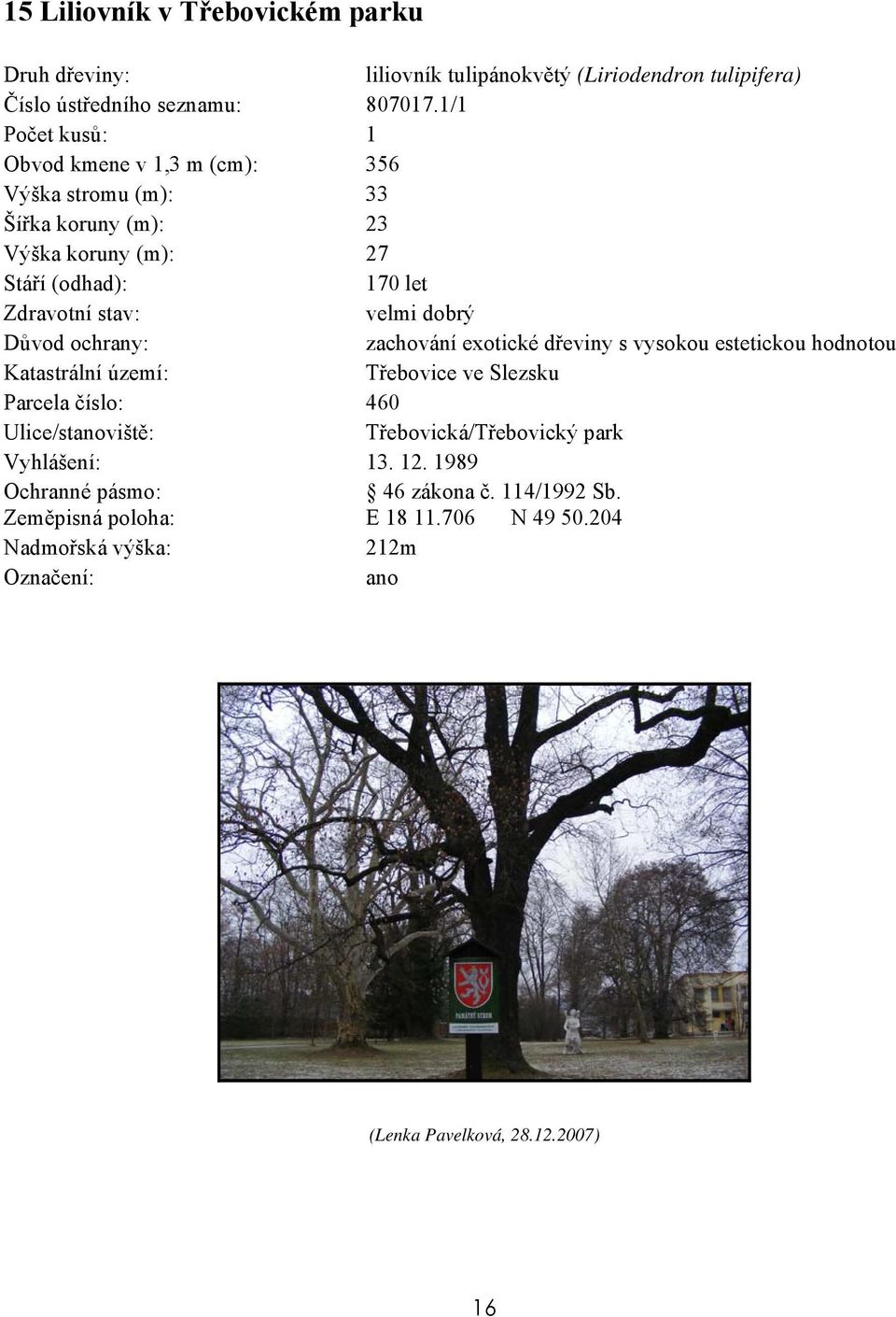1/1 Obvod kmene v 1,3 m (cm): 356 Výška stromu (m): 33 Šířka koruny (m): 23 Výška koruny (m): 27 170 let