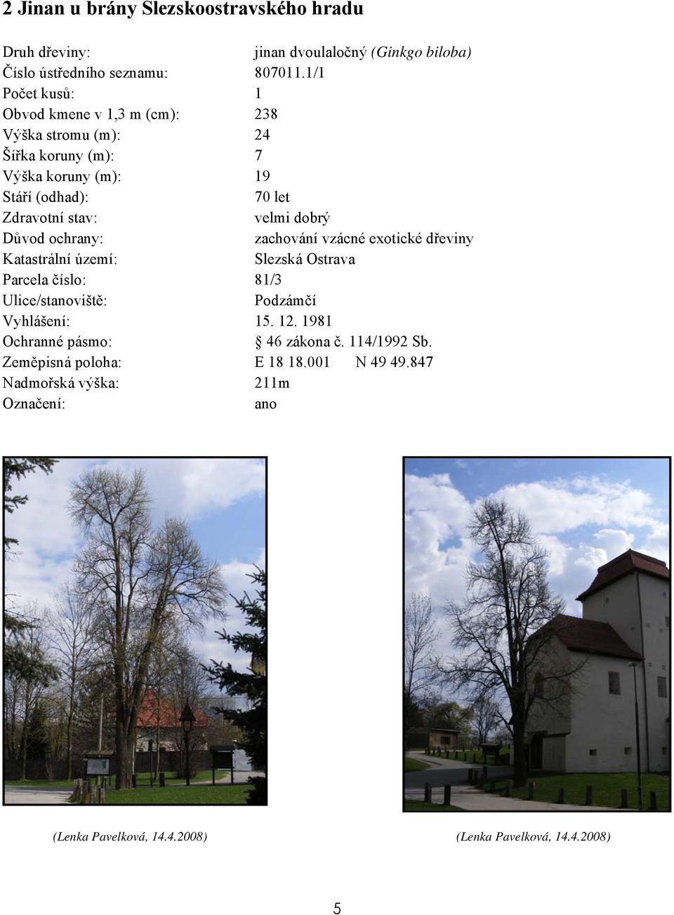 1/1 Obvod kmene v 1,3 m (cm): 238 Výška stromu (m): 24 Šířka koruny (m): 7 Výška koruny (m): 19 70 let