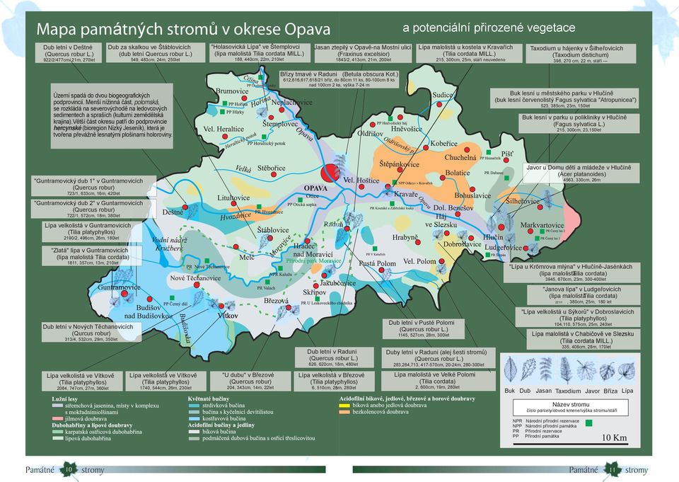 ) 188, 440cm, 22m, 210let Jasan ztepilý v Opavě-na Mostní ulici (Fraxinus excelsior) 1843/2, 413cm, 21m, 200let a potenciální přirozené vegetace Lípa malolistá u kostela v Kravařích (Tilia cordata