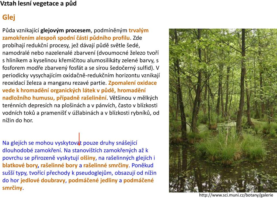 zbarvený fosfát a se sírou šedočerný sulfid). V periodicky vysychajícím oxidačně-redukčním horizontu vznikají reoxidací železa a manganu rezavé partie.