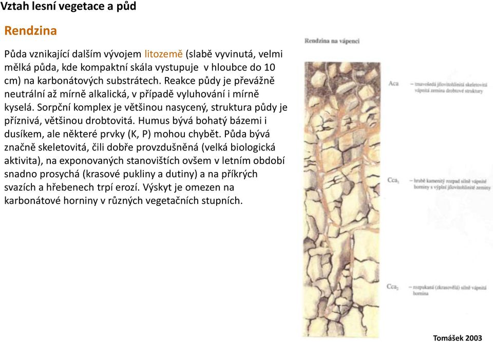 Humus bývá bohatý bázemi i dusíkem, ale některé prvky (K, P) mohou chybět.