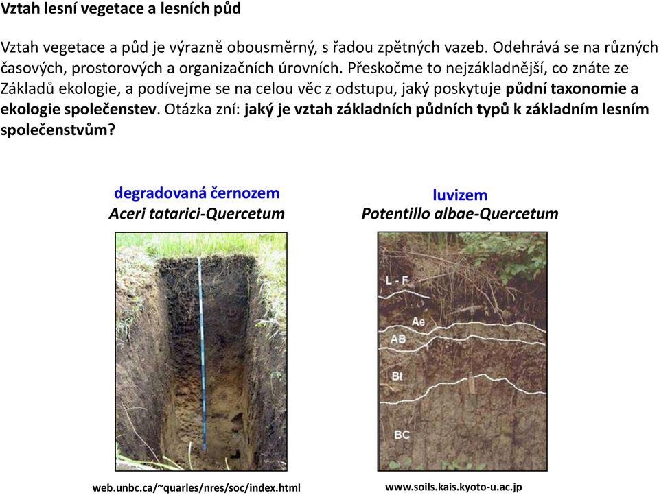 Přeskočme to nejzákladnější, co znáte ze Základů ekologie, a podívejme se na celou věc z odstupu, jaký poskytuje půdní taxonomie a ekologie