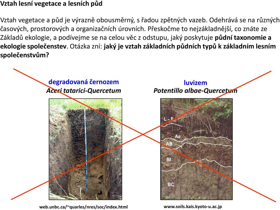 Přeskočme to nejzákladnější, co znáte ze Základů ekologie, a podívejme se na celou věc z odstupu, jaký poskytuje půdní taxonomie a ekologie