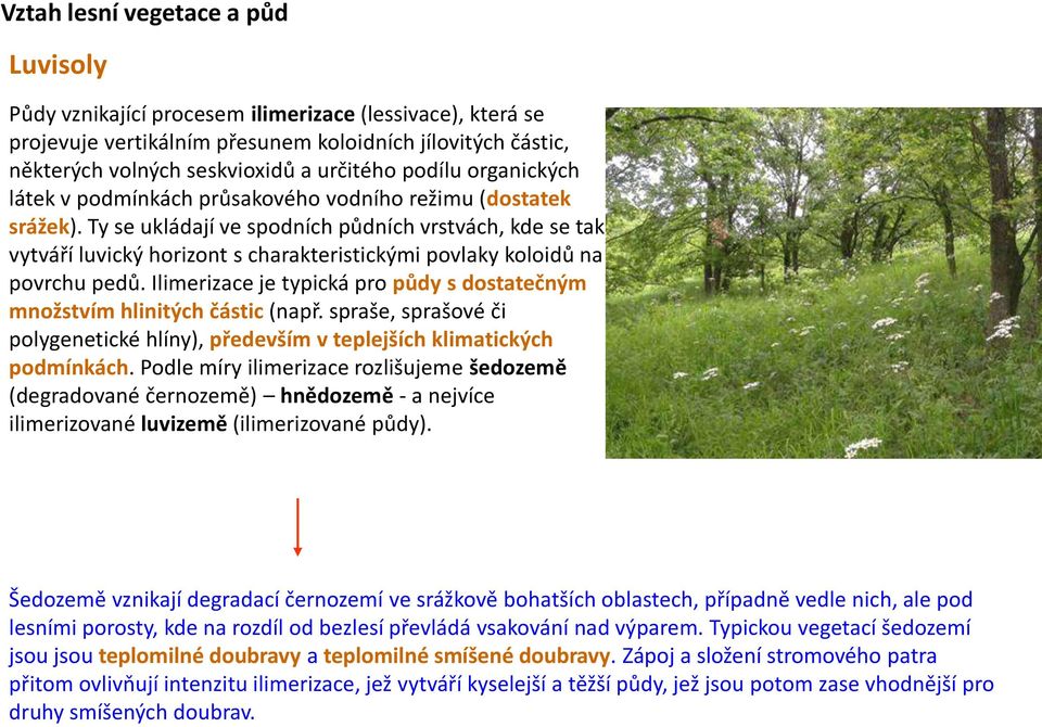 Ilimerizace je typická pro půdy s dostatečným množstvím hlinitých částic (např. spraše, sprašové či polygenetické hlíny), především v teplejších klimatických podmínkách.