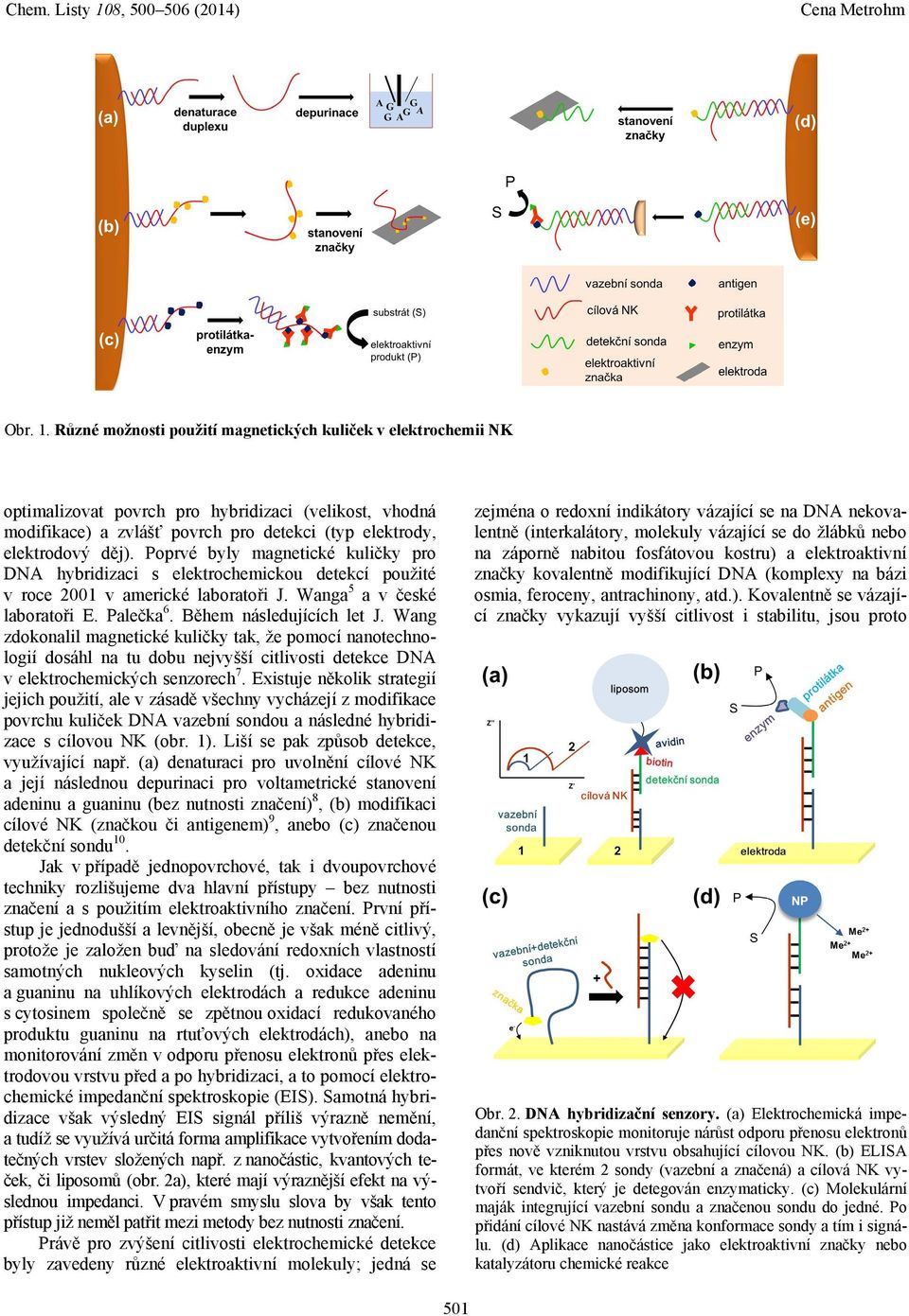 Wang zdokonalil magnetické kuličky tak, že pomocí nanotechnologií dosáhl na tu dobu nejvyšší citlivosti detekce DNA v elektrochemických senzorech 7.