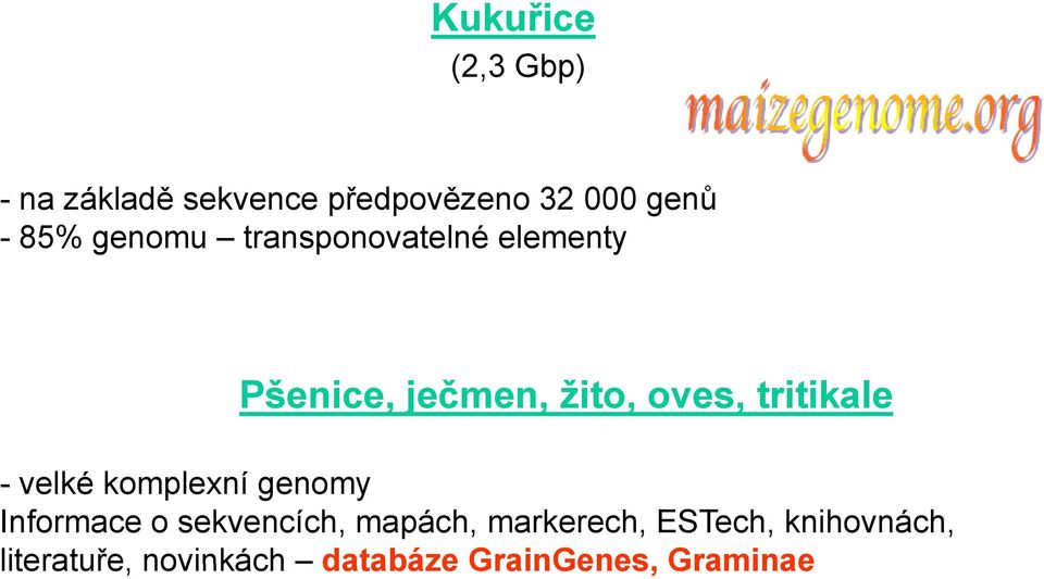 tritikale - velké komplexní genomy Informace o sekvencích, mapách,