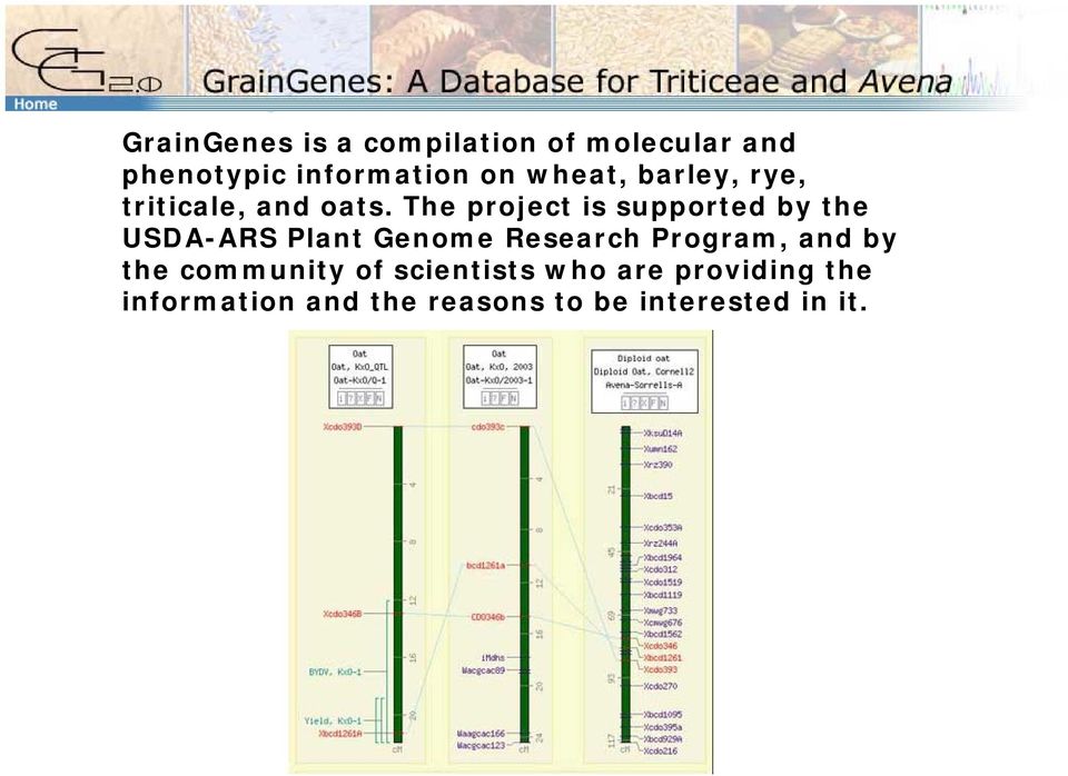 The project is supported by the USDA-ARS Plant Genome Research Program,