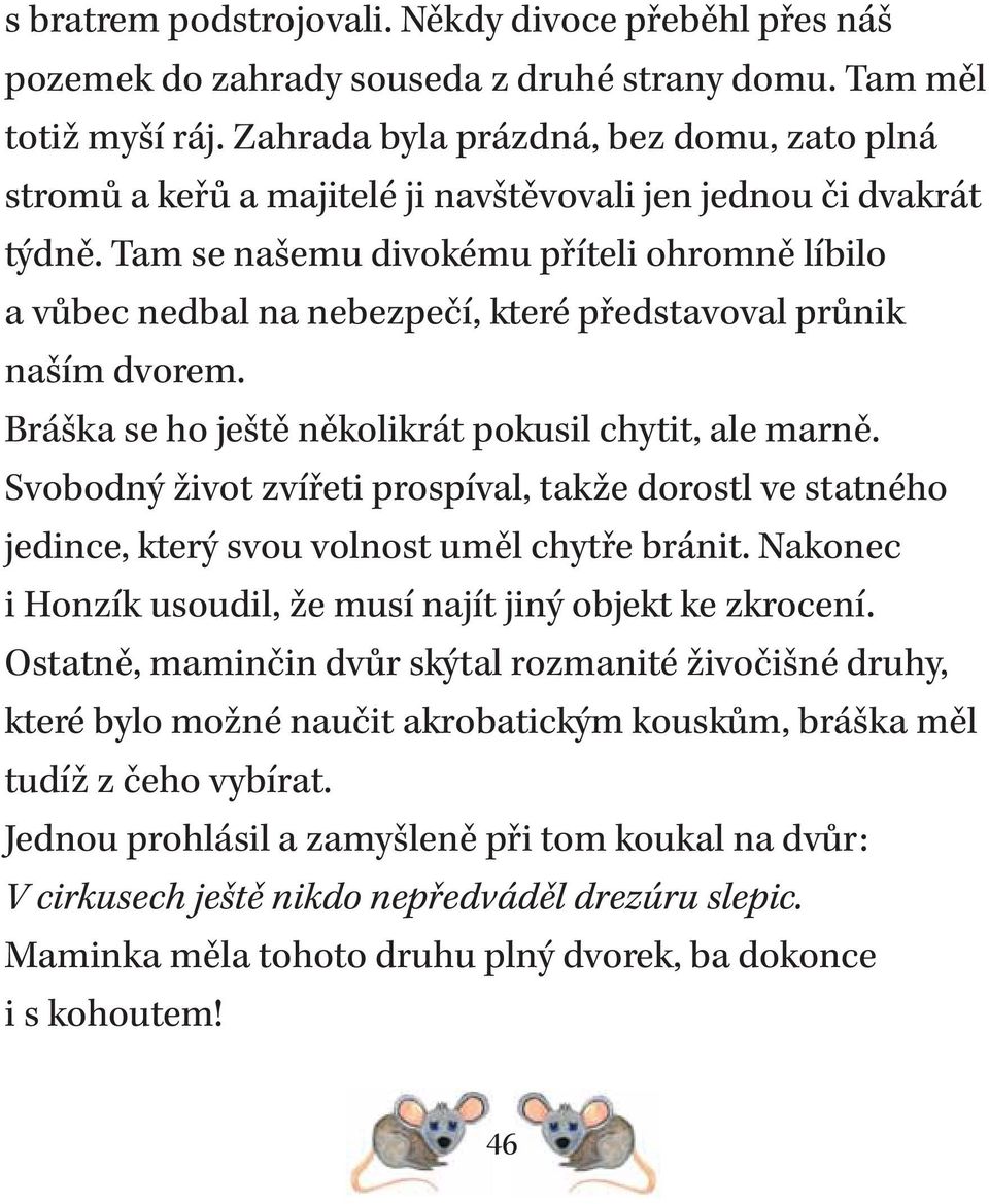 Tam se našemu divokému příteli ohromně líbilo a vůbec nedbal na nebezpečí, které představoval průnik naším dvorem. Bráška se ho ještě několikrát pokusil chytit, ale marně.