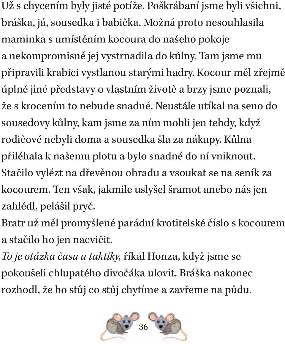 Kocour měl zřejmě úplně jiné představy o vlastním životě a brzy jsme poznali, že s krocením to nebude snadné.