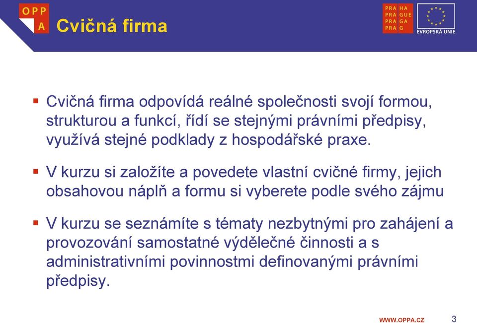 V kurzu si založíte a povedete vlastní cvičné firmy, jejich obsahovou náplň a formu si vyberete podle svého