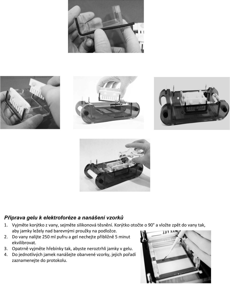 Do vany nalijte 250 ml pufru a gel nechejte přibližně 5 minut ekvilibrovat. 3.