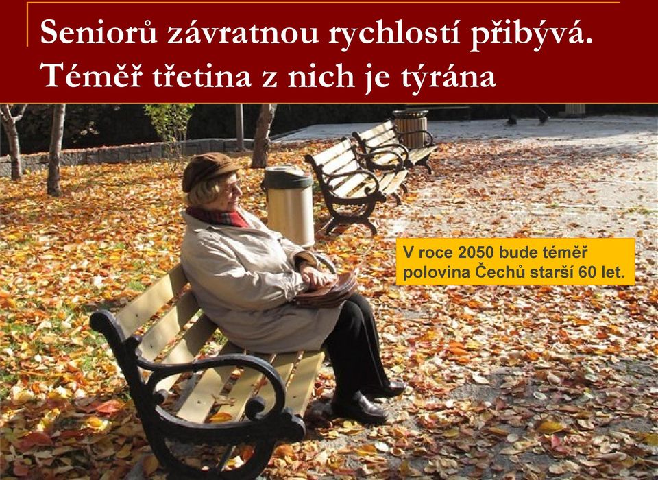 Téměř třetina z nich je týrána V