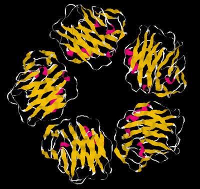 LPS IL-1 LPS + TNFa + IL-1b +