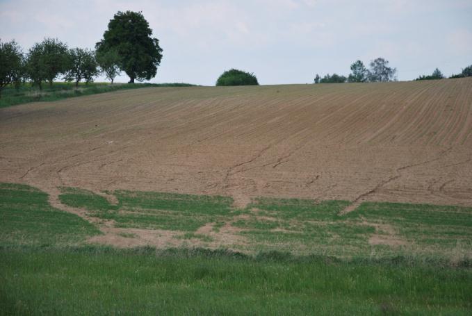 Činnost oddělení Monitoring EZP Monitoring eroze -