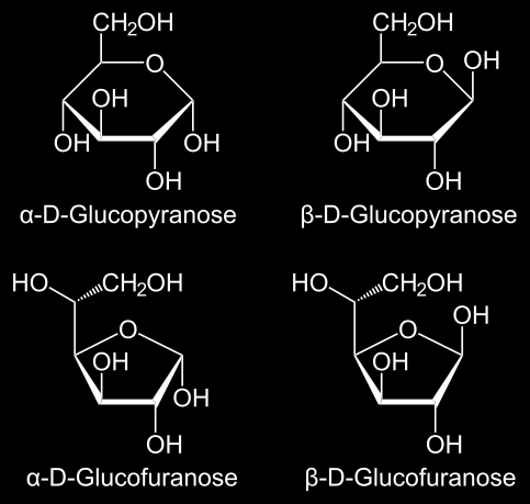 monosacharidy hexosy - glukosa Glukosa (hroznový cukr, škrobový cukr, dextrosa) hlavní monosacharid většiny potravin (s fruktosou) v rostlinách fotosyntézou, savci glukoneogenezí v krvi živočichů