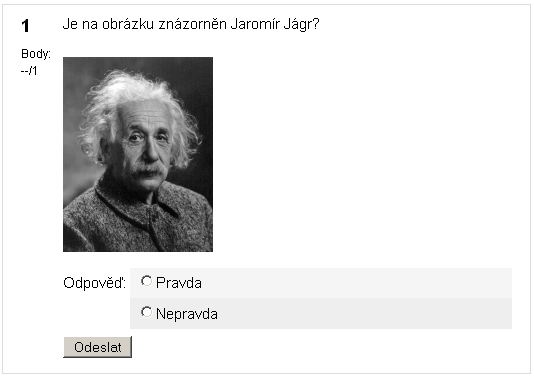 Pravda/Nepravda Při řešení této úlohy, která může obsahovat i obrázek, vybírá student ze dvou možností - pravda nebo nepravda. Přidání obrázku k otázce.