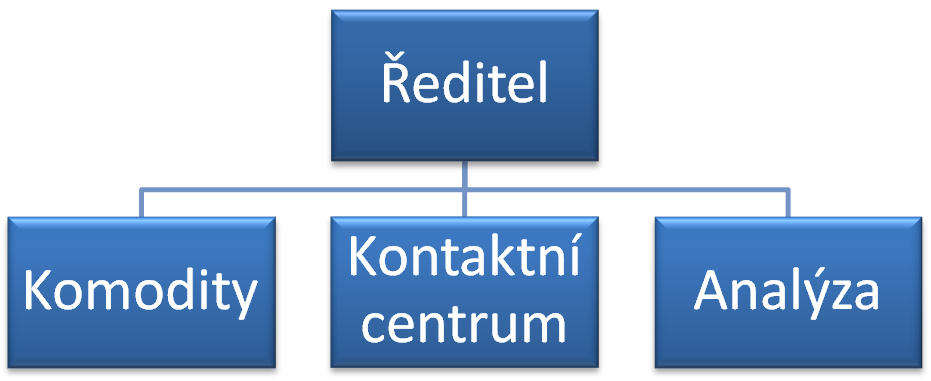 Organizační