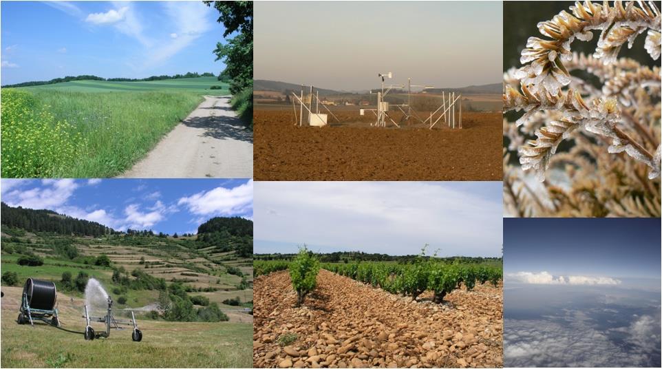 Klimatická změna, zemědělství a produkce potravin
