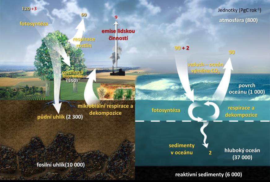 Distribuce Rozdělení CO 2 mezi