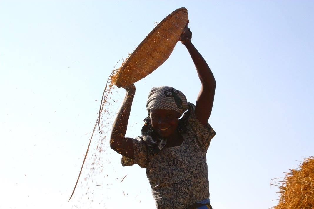 Podpořte Maendeleo a s námi farmáře a farmářky na venkově v Tanzanii, kde