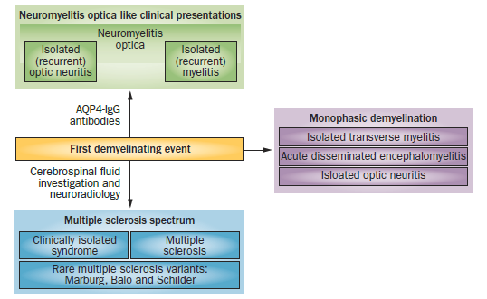 Spektrum demyelinizačních onemocnění CNS AQP4-IgG séronegativní NMO MOG-IgG