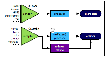 Obrázek 3 - Schéma rozdílného procesu reakce u stroje a u člověka (41) Úplný čas reakce lze vyjádřit jako součet doby trvání vizuální percepce a času, který je třeba k rozhodování, na něž přímo