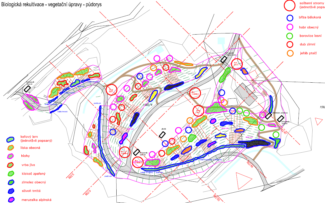 Rekultivace skládky - projekt mlatový povrch pěší cesty provozní komunikace a plochy 3.4 Lesovna Podhůra Úkoly pro rok 2012 Městské lesy Chrudim, s.r.o. vypracují investiční záměr, který předloží k projednání a schválení Valné hromadě společnosti.