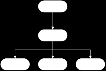 Organizace projektu Základní úrovně řízení projektu Řídící výbor je vrcholným rozhodovacím a řídícím orgánem projektu Hlavní tým projektu je nástrojem