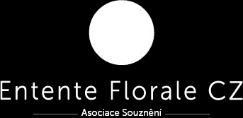 Navazujeme na zkušenosti našich členů z působení v evropském projektu Entente Florale Europe porozumění prostřednictvím rostlin.