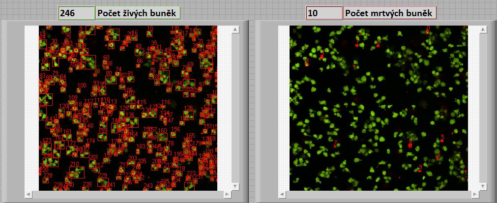 Na každém obrázku níže je v levé části zobrazen počet a prostorová orientace živých buněk, v pravé části je zobrazen počet a prostorová orientace