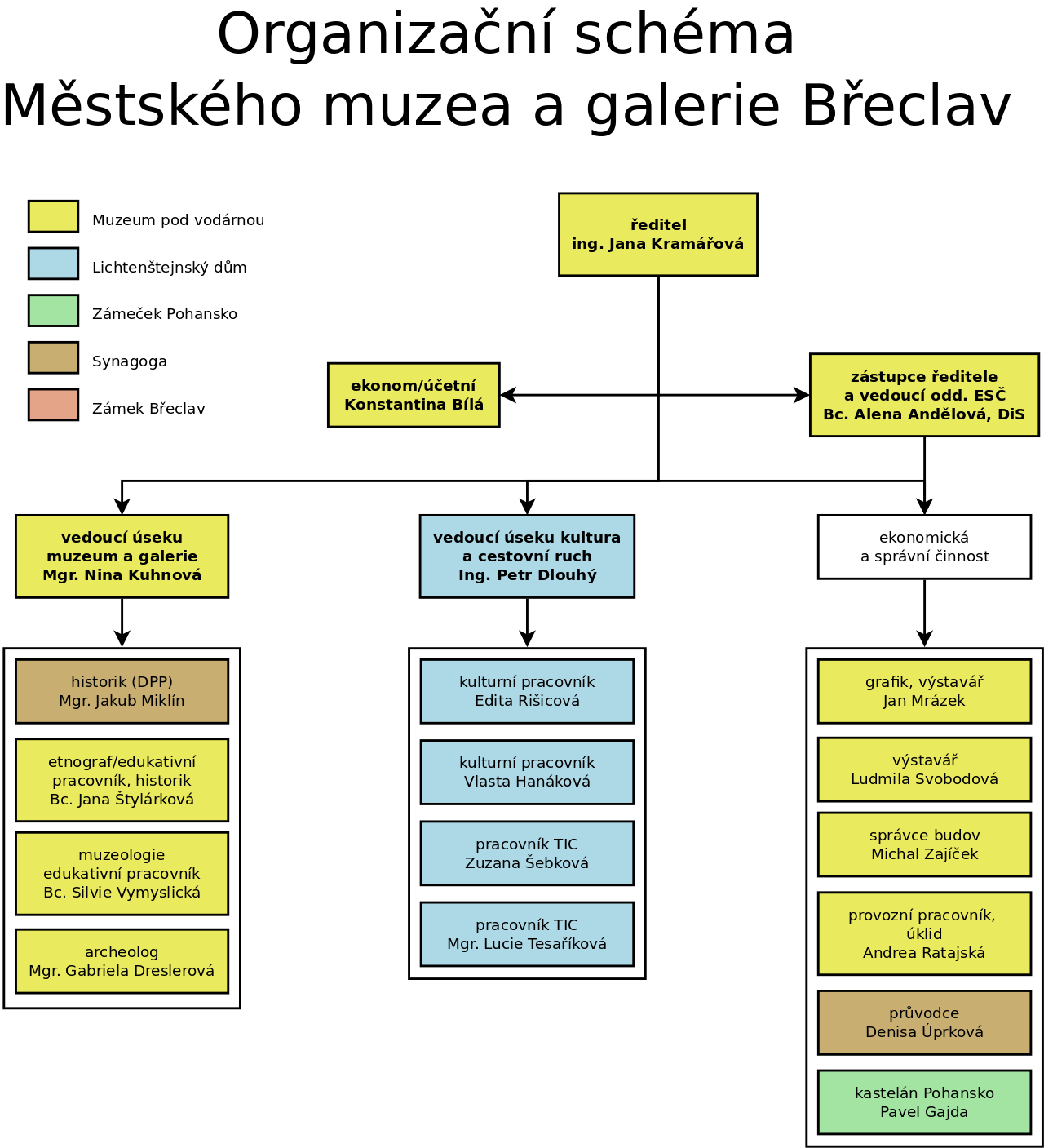 Obrázek 1 Organizační schéma Městského muzea a galerie Břeclav (stav k 1. 6.