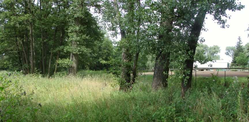 Protipovodňová opatření Poděbrady F.I.