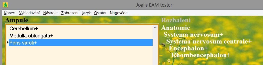 Základní etáž mozku, navazuje na míchu, těla neuronů tvoří kmenová jádra (centra) - centrum