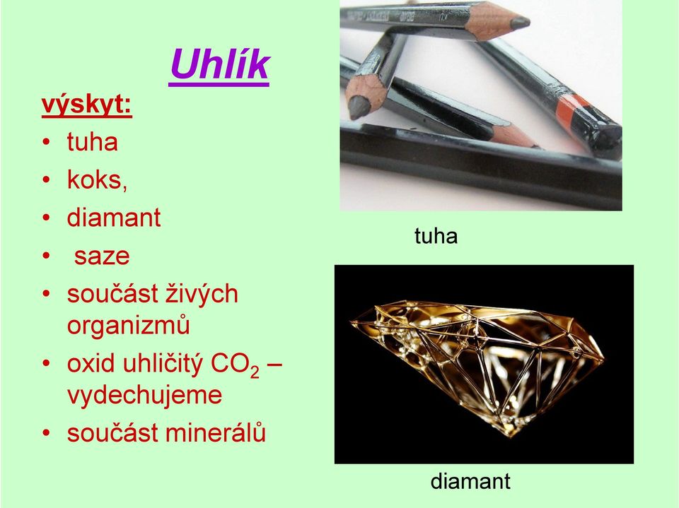 organizmů oxid uhličitý CO2