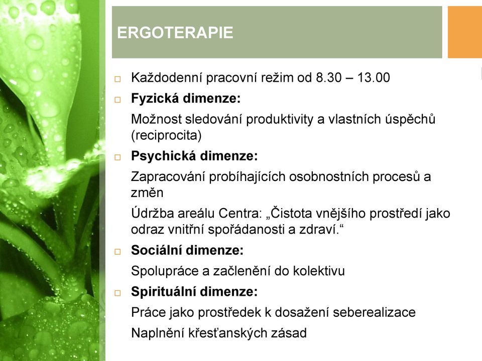 Zapracování probíhajících osobnostních procesů a změn Údrţba areálu Centra: Čistota vnějšího prostředí jako